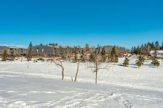 Photo 39: 235 Silvercreek Drive NW in Calgary: Silver Springs Detached for sale : MLS®# A2028271