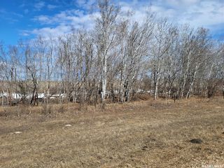 Photo 4: Radisson 158 acres Pastureland (Que) in Great Bend: Farm for sale (Great Bend Rm No. 405)  : MLS®# SK965878