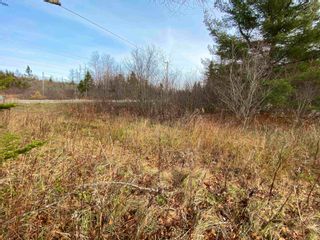 Photo 6: 7758 Highway 4 in River Bourgeois: 305-Richmond County / St. Peters Vacant Land for sale (Highland Region)  : MLS®# 202401689