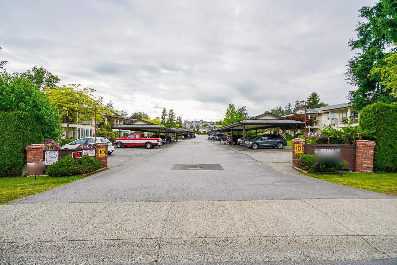 Main Photo: 31 6467 197 Street in Langley: Willoughby Heights Townhouse for sale in "WILLOWBROOK" : MLS®# R2702672