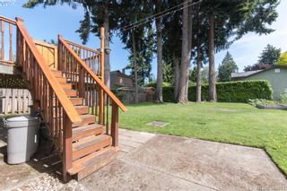 Photo 18: 542 Hallsor Dr in VICTORIA: Co Wishart North House for sale (Colwood)  : MLS®# 791609