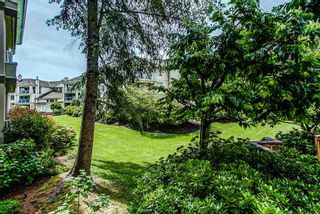 Photo 18: 113 20120 56 Avenue in Langley: Langley City Condo for sale in "BLACKBERRY LANE" : MLS®# R2076345