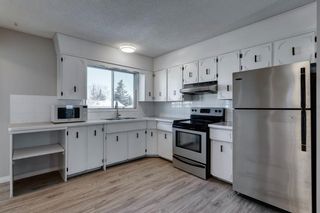 Photo 14: 3812 49 Street NE in Calgary: Whitehorn Detached for sale : MLS®# A1054455