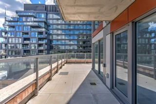 Photo 30: 2 AUGUSTA Avenue|Unit #803 in Toronto: Condo for rent : MLS®# H4198922
