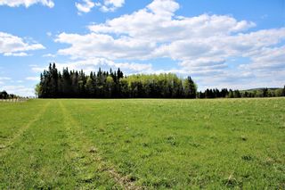 Photo 12: 31518 Hwy 22: Rural Mountain View County Residential Land for sale : MLS®# A1218290