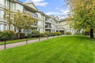 Photo 1: 208 20881 56 Avenue in Langley: Langley City Condo for sale in "Robert's Court" : MLS®# R2576787