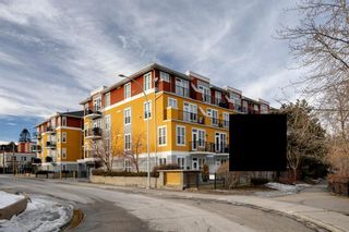 Photo 21: 210 208 Holy Cross Lane SW in Calgary: Mission Apartment for sale : MLS®# A1174088
