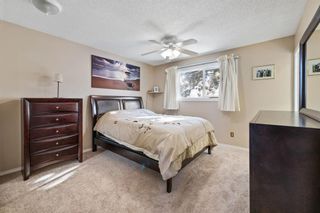 Photo 15: 1456 Berkley Drive NW in Calgary: Beddington Heights Detached for sale : MLS®# A2011390