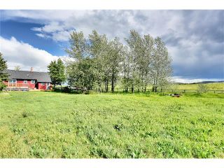 Photo 7: 434019 192 Street: Rural Foothills M.D. House for sale : MLS®# C4073369