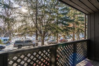 Photo 25: 5 616 24 Avenue SW in Calgary: Cliff Bungalow Apartment for sale : MLS®# A2022586