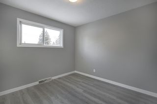 Photo 15: 639 Agate Crescent SE in Calgary: Acadia Detached for sale : MLS®# A2019203