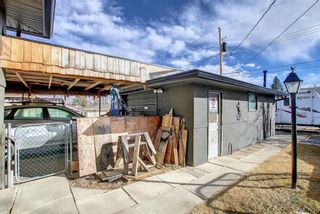 Photo 41: 419 Tavender Road NW in Calgary: Thorncliffe Detached for sale : MLS®# A1193572