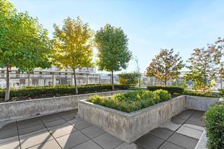 Photo 24: 107 523 W KING EDWARD Avenue in Vancouver: Cambie Condo for sale in "The Regent" (Vancouver West)  : MLS®# R2738981