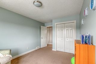 Photo 31: 212 COPPERPOND Circle SE in Calgary: Copperfield Detached for sale : MLS®# C4305503