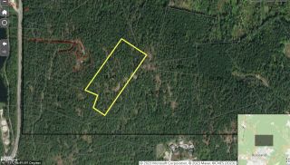 Photo 6: DL 801 HIGHWAY 3B in Rossland: Vacant Land for sale : MLS®# 2474556