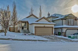 Photo 30: 87 Evansmeade Crescent NW in Calgary: Evanston Detached for sale : MLS®# A2013812
