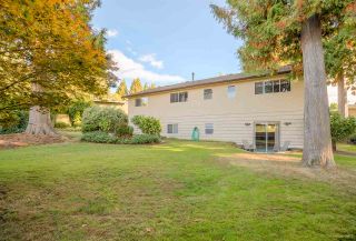 Photo 17: 3311 DALEBRIGHT Drive in Burnaby: Government Road House for sale in "GOVERNMENT ROAD" (Burnaby North)  : MLS®# R2214815