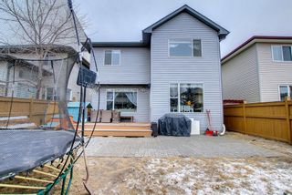 Photo 43: 564 Auburn Bay Heights SE in Calgary: Auburn Bay Detached for sale : MLS®# A1181072