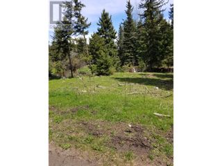 Photo 10: Legal SCUITTO LAKE in Kamloops: Vacant Land for sale : MLS®# 176532