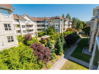 Photo 19: 317 8142 120A Street in Surrey: Queen Mary Park Surrey Condo for sale in "Sterling Court" : MLS®# R2291211