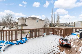 Photo 30: 15 Riverview Circle SE in Calgary: Riverbend Detached for sale : MLS®# A1206677