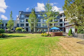 Photo 25: 315 8880 202 Street in Langley: Walnut Grove Condo for sale in "The Residences" : MLS®# R2718795