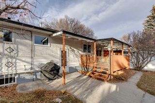 Photo 27: 3928 Brantford Drive NW in Calgary: Brentwood Detached for sale : MLS®# A2095389