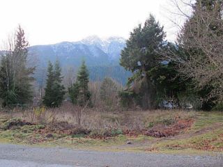 Photo 2: 1276 DEPOT Road in Squamish: Brackendale Land for sale : MLS®# V1037863