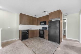 Photo 4: 207 300 Marina Drive: Chestermere Apartment for sale : MLS®# A2080602
