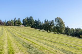 Photo 20: 19701 12 Avenue in Langley: Campbell Valley House for sale : MLS®# R2704667