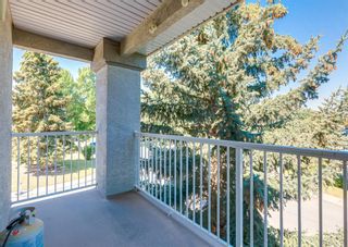 Photo 5: 301 139 26 Avenue NW in Calgary: Tuxedo Park Apartment for sale : MLS®# A1251505