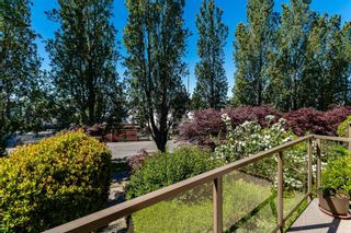 Photo 28: 219 5500 ANDREWS Road in Richmond: Steveston South Condo for sale in "SOUTHWATER" : MLS®# R2705291