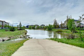 Photo 46: 218 Canoe Square SW: Airdrie Detached for sale : MLS®# A1211448