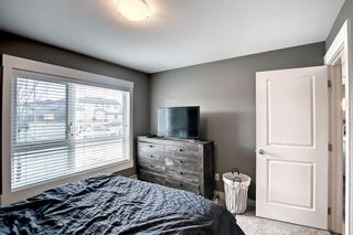 Photo 7: 4116 302 Skyview Ranch Drive NE in Calgary: Skyview Ranch Apartment for sale : MLS®# A1205113
