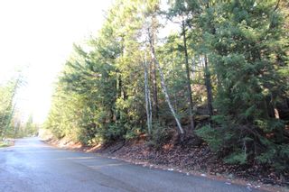 Photo 5: Lot 22 Vickers Trail: Anglemont Vacant Land for sale (North Shuswap)  : MLS®# 10243424