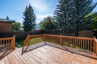 Photo 35: 252 Sandarac Pl NW Place NW in Calgary: Sandstone Valley Detached for sale : MLS®# A2003740
