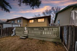 Photo 28: 19 Falchurch Road NE in Calgary: Falconridge Semi Detached (Half Duplex) for sale : MLS®# A2124715