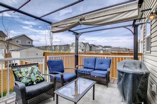 Photo 46: 9 Copperpond Avenue SE in Calgary: Copperfield Detached for sale : MLS®# A1232271