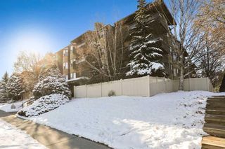 Photo 2: 201 3719C 49 Street NW in Calgary: Varsity Apartment for sale : MLS®# A2089395