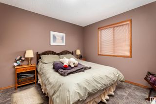 Photo 27: 15206 49A Street in Edmonton: Zone 02 House for sale : MLS®# E4379276