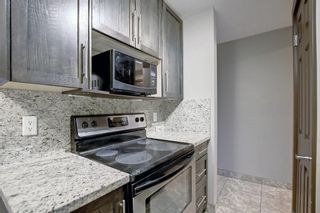 Photo 7: 101 817 5 Street NE in Calgary: Renfrew Apartment for sale : MLS®# A1173709
