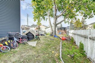 Photo 46: 17 Tararidge Drive NE in Calgary: Taradale Detached for sale : MLS®# A2003089