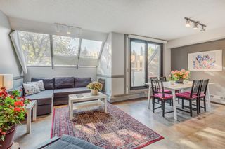 Photo 10: 405 824 Royal Avenue SW in Calgary: Lower Mount Royal Apartment for sale : MLS®# A2041793