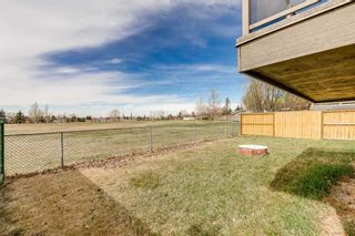 Photo 30: 1525 Big Springs Way SE: Airdrie Detached for sale : MLS®# A2127386