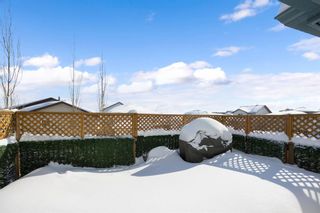 Photo 11: 100 Potts Bay: Fort McMurray Detached for sale : MLS®# A2032597