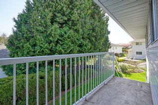 Photo 13: 28 2938 TRAFALGAR Street in Abbotsford: Central Abbotsford Townhouse for sale : MLS®# R2772514