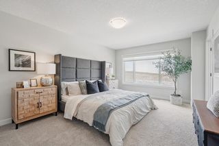 Photo 24: 78 Belvedere Green in Calgary: Belvedere Detached for sale : MLS®# A2043501