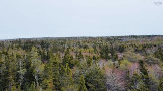 Photo 9: NO 3 Highway in Upper Woods Harbour: 407-Shelburne County Vacant Land for sale (South Shore)  : MLS®# 202325528