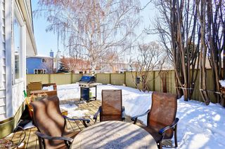 Photo 44: 331 Mckerrell Place SE in Calgary: McKenzie Lake Detached for sale : MLS®# A2032883