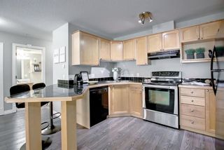 Photo 10: 210 1631 28 Avenue SW in Calgary: South Calgary Apartment for sale : MLS®# A1234288